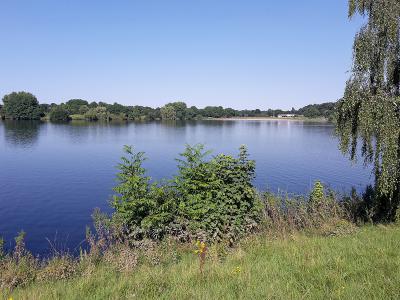 Aasee Bocholt: Blick auf die Badebucht