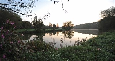 Foto-Wanderung um den Pröbstingsee 1