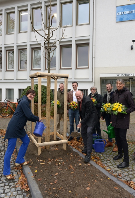 Baumpflanzung Wilhelmshöher Allee