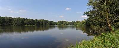 Naturkundliche Frühjahrswanderung im Erholungsgebiet PröbstingSee 