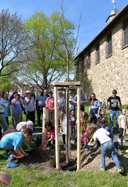 Baum des Jahres 2018