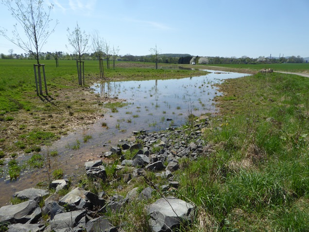 Ausgleichsflächen im Gewerbegebiet Langes Feld