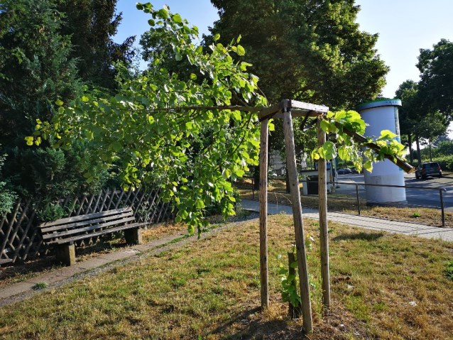 Vandalismus Döllbachaue