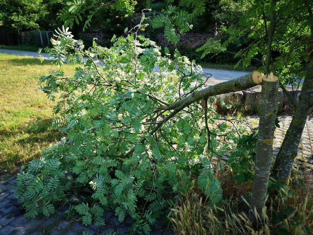 Vandalismus Marburger Straße