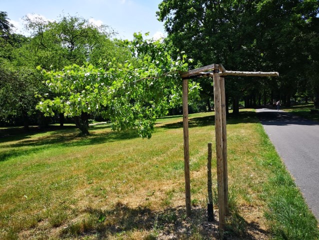 Vandalismus Park Rothenditmold