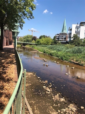 Niedriger Wasserpegel an der Bocholter Aa