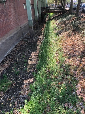 Auch der zurzeit ausgetrocknete Rathausgraben wird sich bald wieder mit Wasser füllen. (Fotos: Stadt Bocholt)