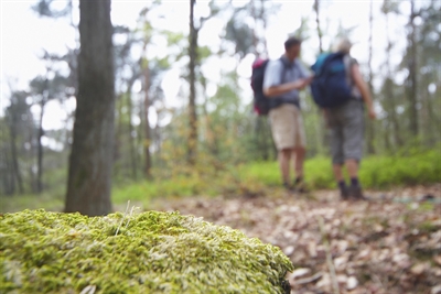 Naturkundliche Wanderung für Kinder ab Burlo