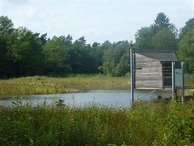 Wanderung im Burlo-Vardingholter Venn