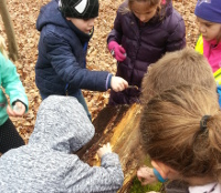 © Foto: Naturpark Schwalm-Nette / Abdruck honorarfrei