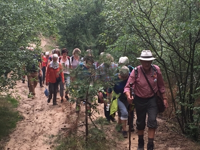 Wanderung durch Sand und Heide
