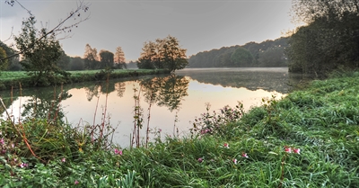 Naturkundliche Frühjahrswanderung im Erholungsgebiet PröbstingSee 