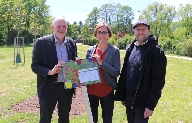 Blühflächen in der Stadt Kassel