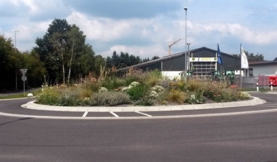 Kreisverkehr Pannemannstraße/Alfred-Flender-Straße Staudenbepflanzung