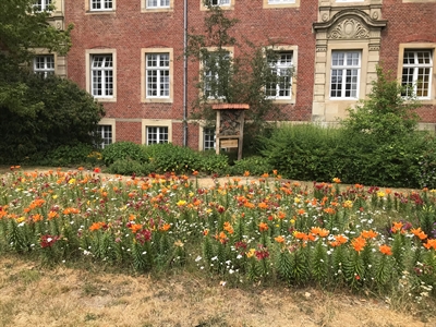Stadt Borken fördert Biodiversität