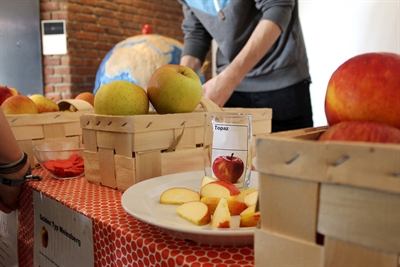 Apfel_Sortenverkostung (c) Lisa Heyn.JPG