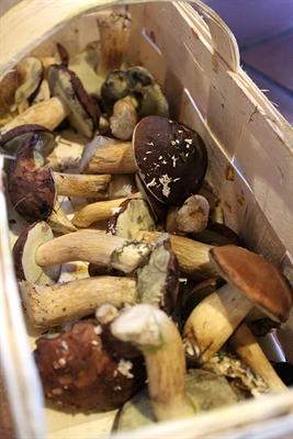 Pilze auf dem Markt kaufen (c) Lisa Heyn