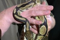 © Kreis Viersen / Abdruck honorarfrei