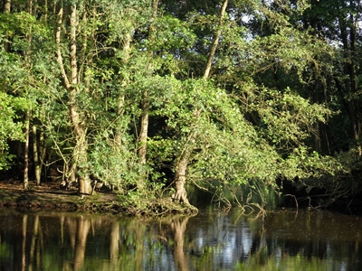 Erholungsgebiet PröbstingSee