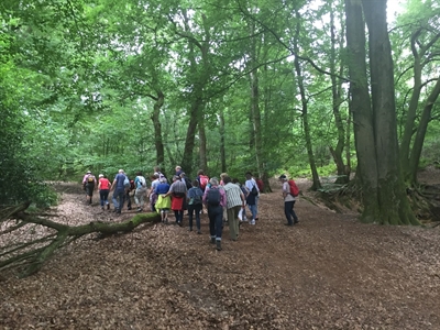 Wandern durch Sand & Heide von der Burg Gemen durch die „Berge“ zur Burg Ramsdorf.