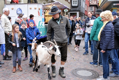 Weihnachtsbaumtransport per Rad? - Kaleidoskop - Themen - Kind und