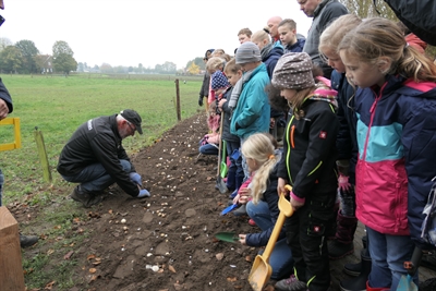 Europastadt Bocholt - Blumenzwiebeln für die blühende Grenze - Bild 1