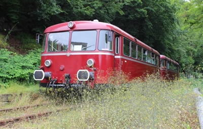 Reviersprinter