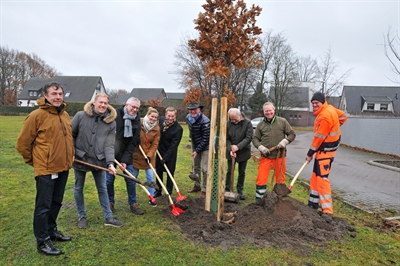 800 Bäume für 800 Jahre Stadt Bocholt