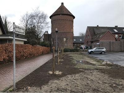 Bepflanzung am provisorischen Parkplatz in der Wall- und Grabenzone 