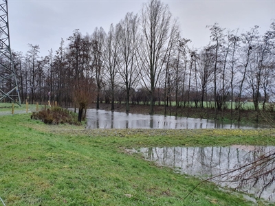 © Stadtbetriebe