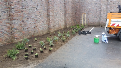 Pflanzaktion Parkplatz Im Piepershagen 2