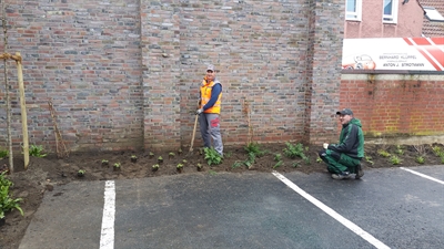 Pflanzaktion Parkplatz Im Piepershagen