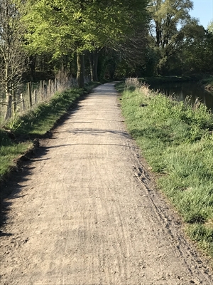 Geh- und Radweg zwischen Buterkamer und Pröbstinger Allee überarbeitet