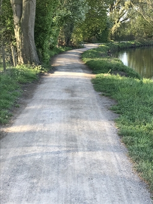 Geh- und Radweg zwischen Buterkamer und Pröbstinger Allee überarbeitet