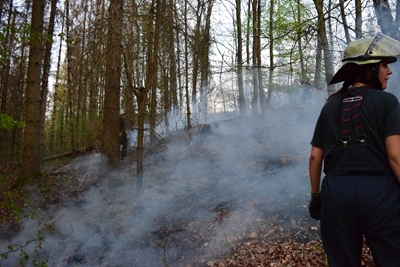 Über 100 m² Waldboden stand in Flammen.