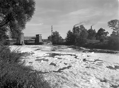 Schaum auf der Lippe 1959