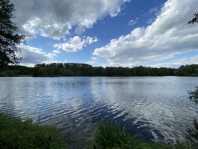  Gewässerpflegearbeiten im Landschaftssee Pröbsting zur Steigerung der Wasserqualität