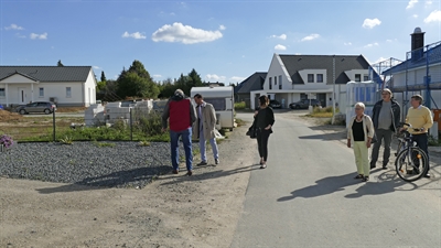 232/2020 Schottergarten1