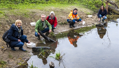 Neue Kescherbucht in Wesel an der Lippe (10/2020)