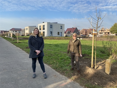 Pflanzung von vier neuen Kinderbaumalleen in Borken-Hovesath, Gemen, Hoxfeld/ Rhedebrügge und Marbeck