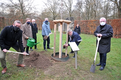 Erinnerngskultur: Anne Frank-Freiheitsbaum gepflanzt