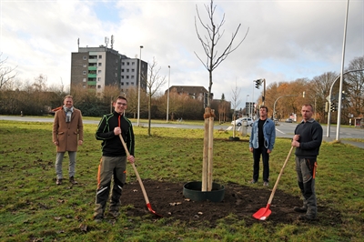800 Bäume für 800 Jahre - Pflanzung Kreuzung Westfälische Hochschule