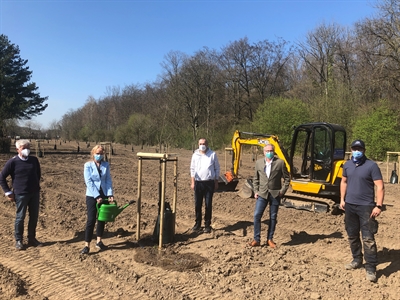 Errichtung einer Streuobstwiese am Sternbusch