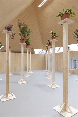 Aufruf zur Leihgabe von Zimmerpflanzen für die neue Ausstellung „ [...] Absurde Substitution“ im FARB