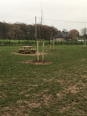 Hundefreilauf Borken