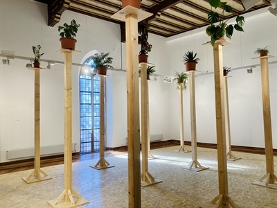 Absurde Substitution