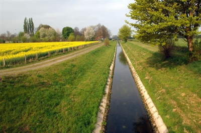 Die Seseke in Kamen vor dem Gewässerumbau (2007)