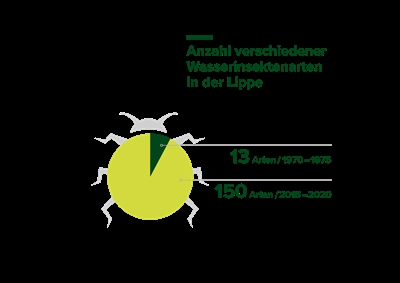 Entwicklung Insektenarten in  derLippe 1970-1975 vs. 2015-2020 (PNG)