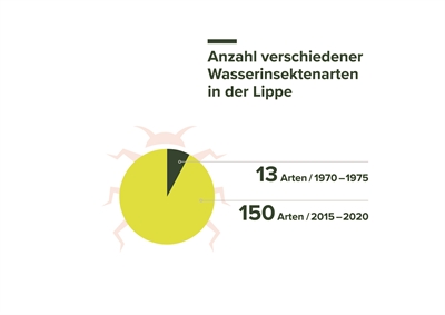 Entwicklung Insektenarten in der Lippe 1970-1975 vs. 2015-2020 (JPG)