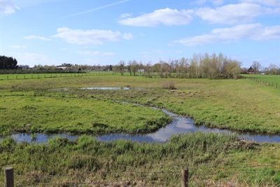 Retentionsraum an der Boye, Am Schleitkamp